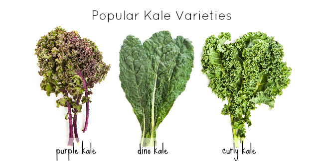 Kale loaded with goodness